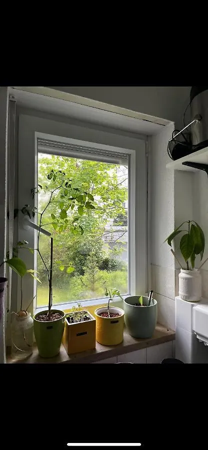 Schwabing Cute Apartament Apartment Munich